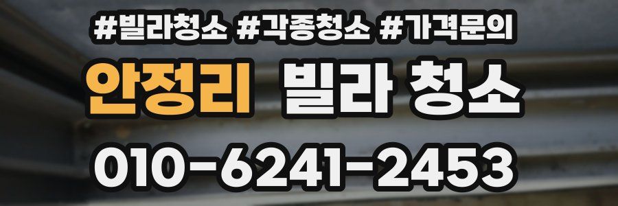 안정리 빌라 청소