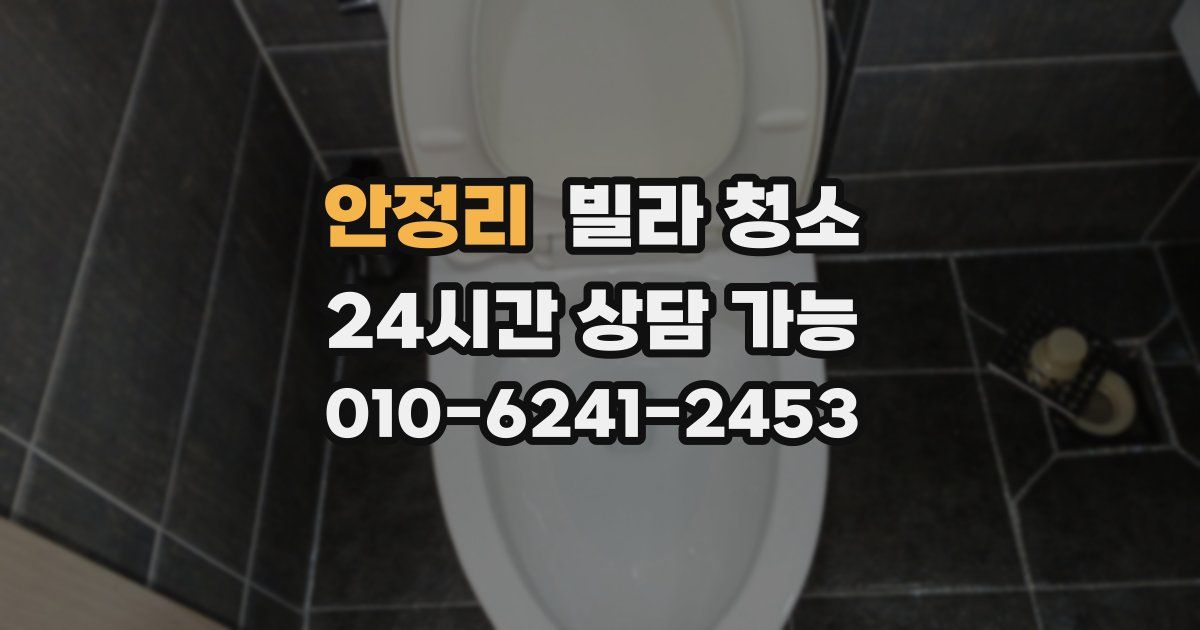 안정리 빌라 청소