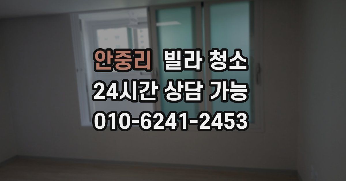 안중리 빌라 청소