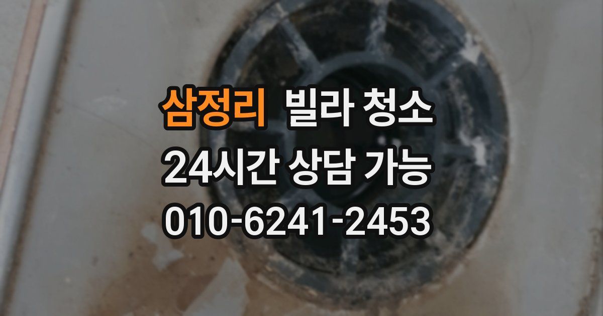 삼정리 빌라 청소