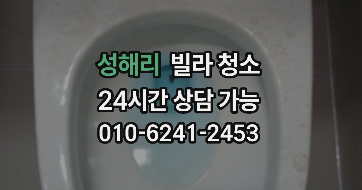 성해리 빌라 청소