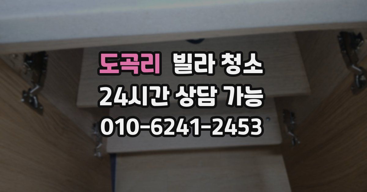 도곡리 빌라 청소