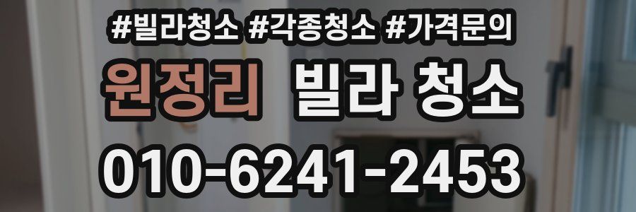 원정리 빌라 청소