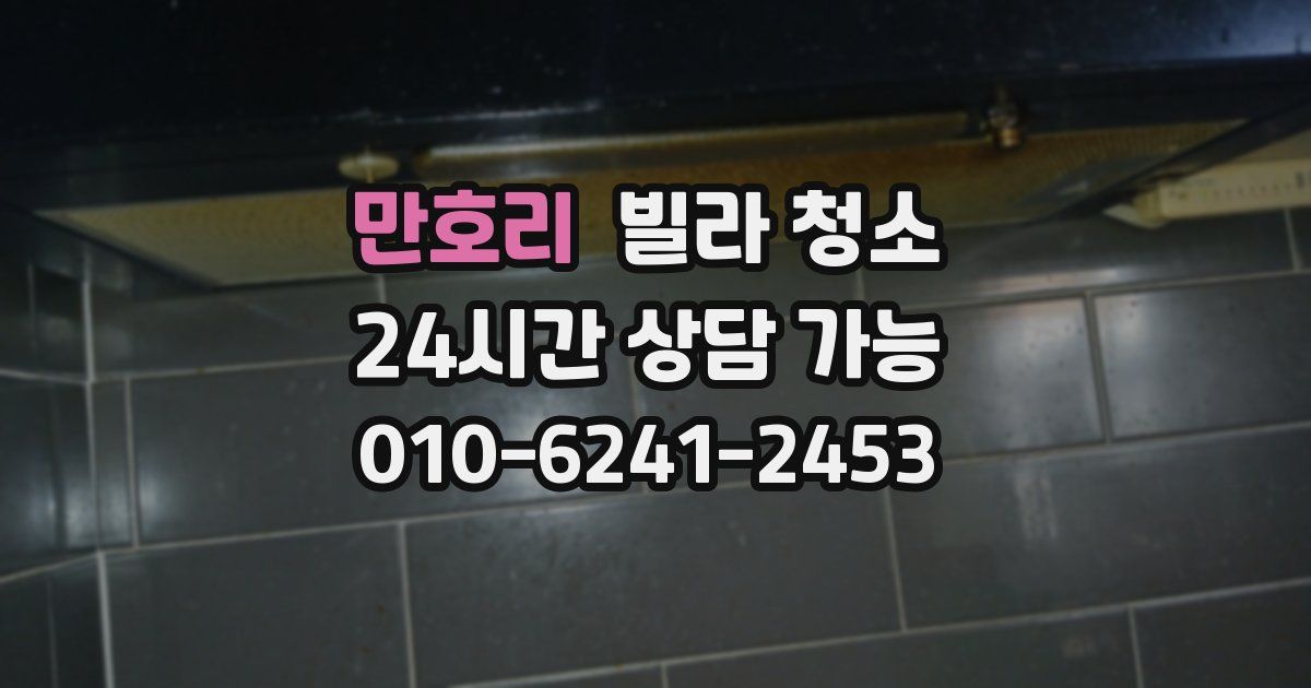 만호리 빌라 청소