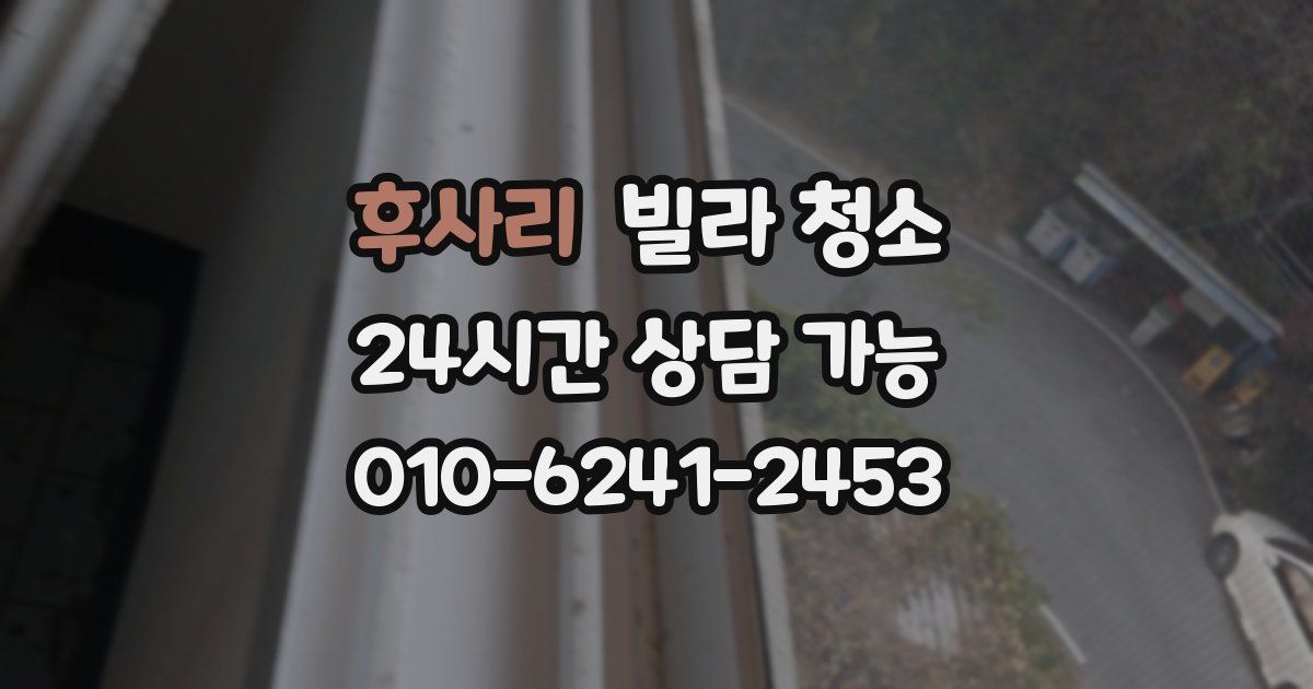 후사리 빌라 청소