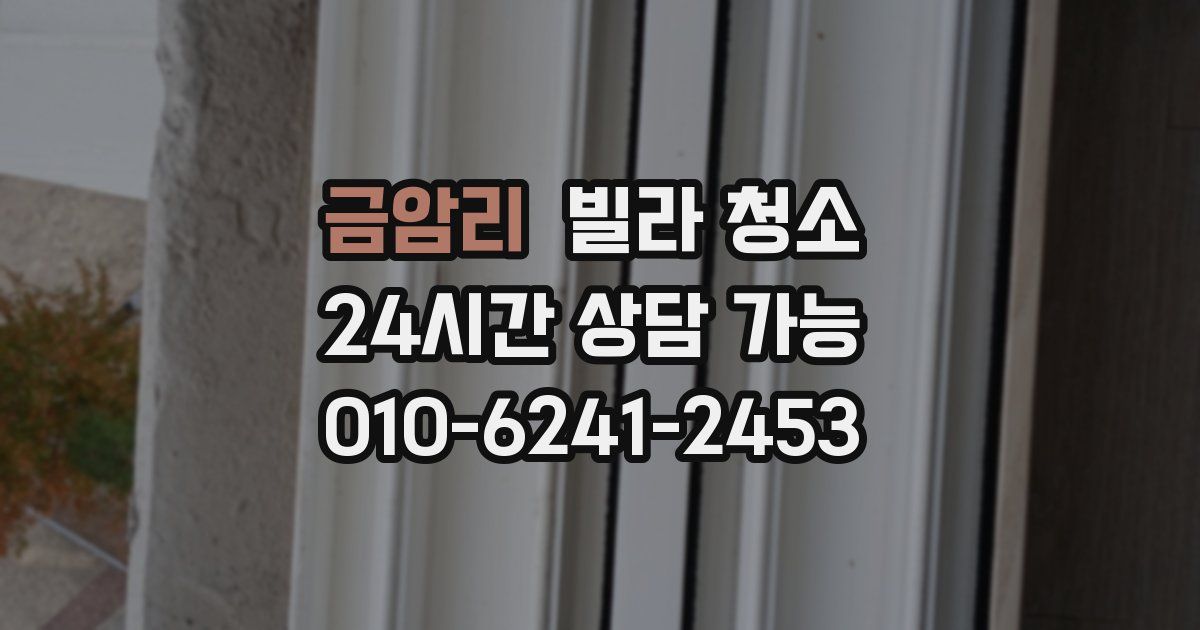 금암리 빌라 청소