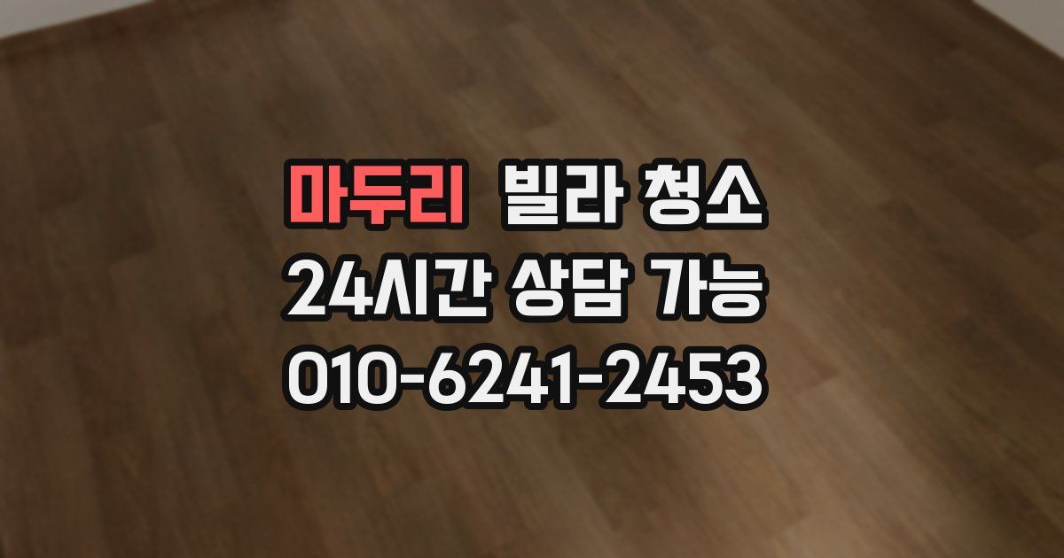 마두리 빌라 청소