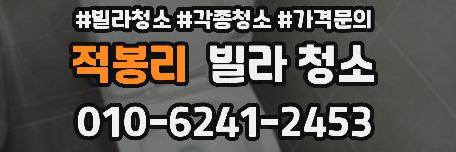 적봉리 빌라 청소