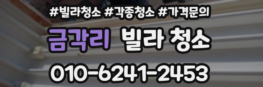 금각리 빌라 청소