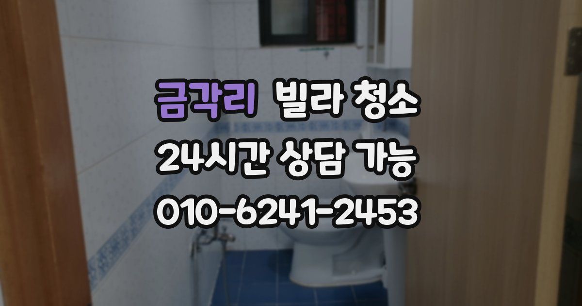 금각리 빌라 청소