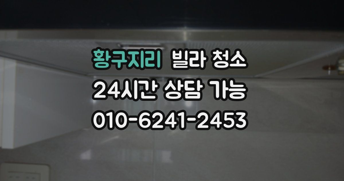 황구지리 빌라 청소