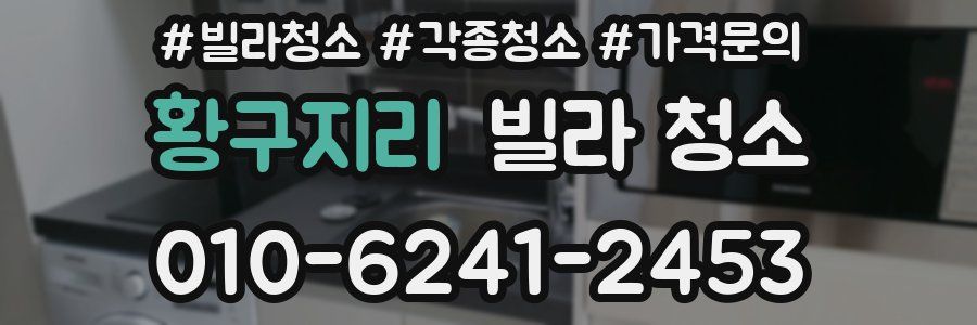 황구지리 빌라 청소