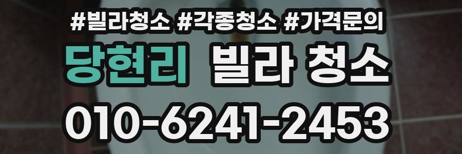 당현리 빌라 청소