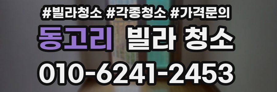 동고리 빌라 청소