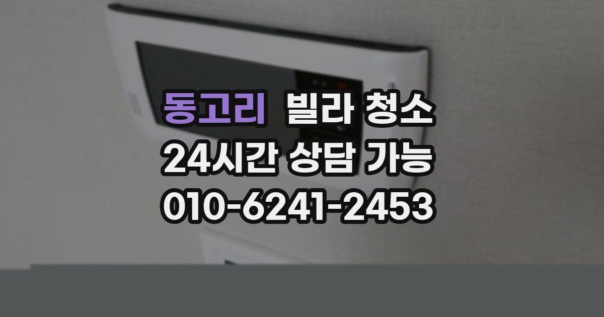 동고리 빌라 청소