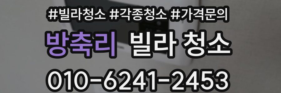 방축리 빌라 청소