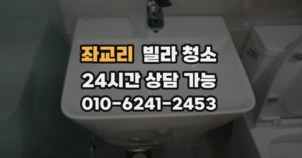 좌교리 빌라 청소