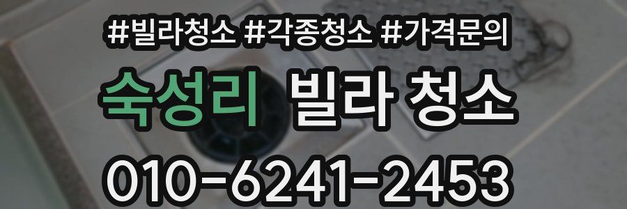 숙성리 빌라 청소