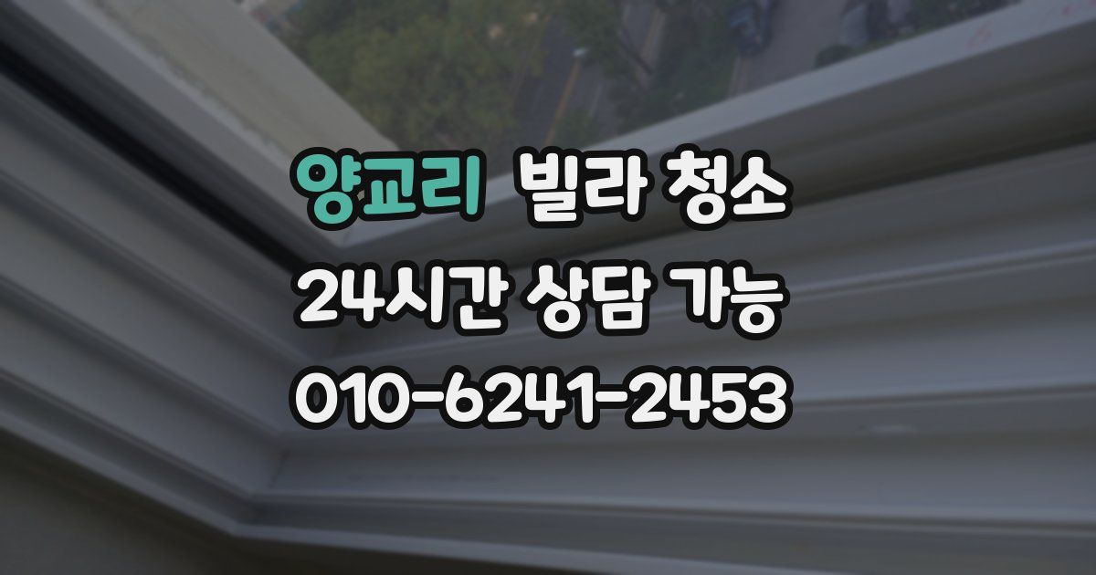 양교리 빌라 청소