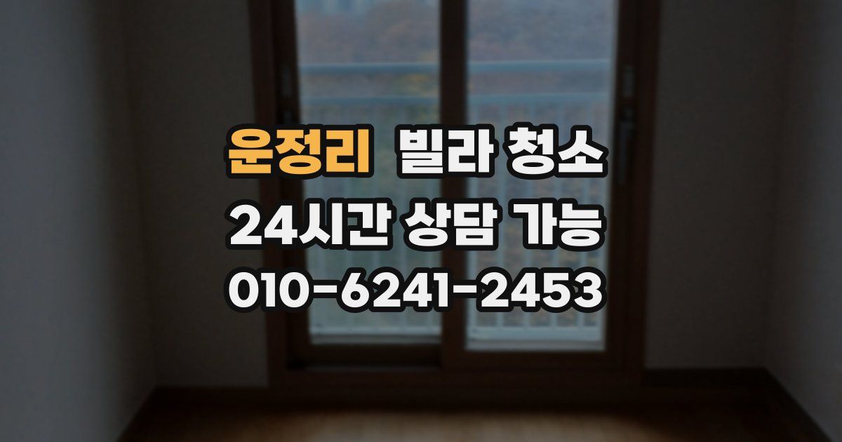 운정리 빌라 청소