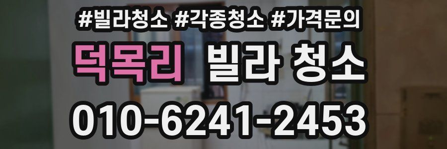 덕목리 빌라 청소