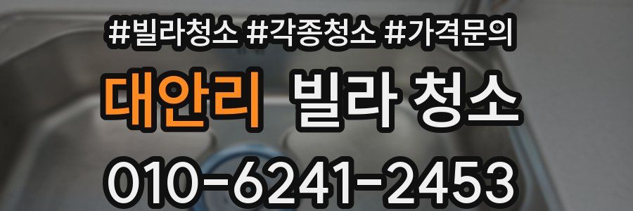 대안리 빌라 청소