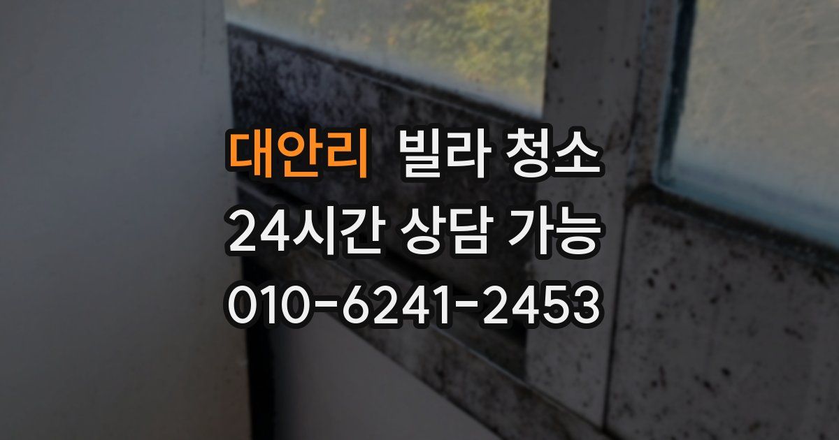 대안리 빌라 청소