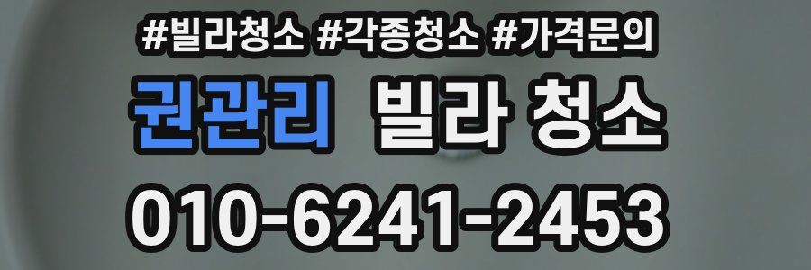 권관리 빌라 청소