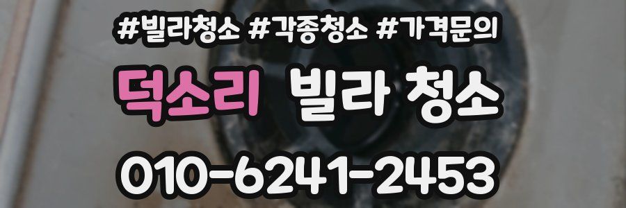 덕소리 빌라 청소