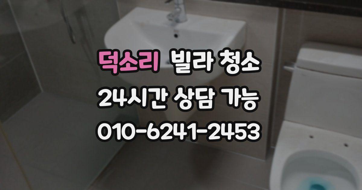 덕소리 빌라 청소