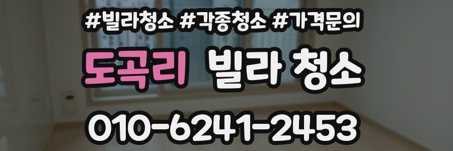 도곡리 빌라 청소