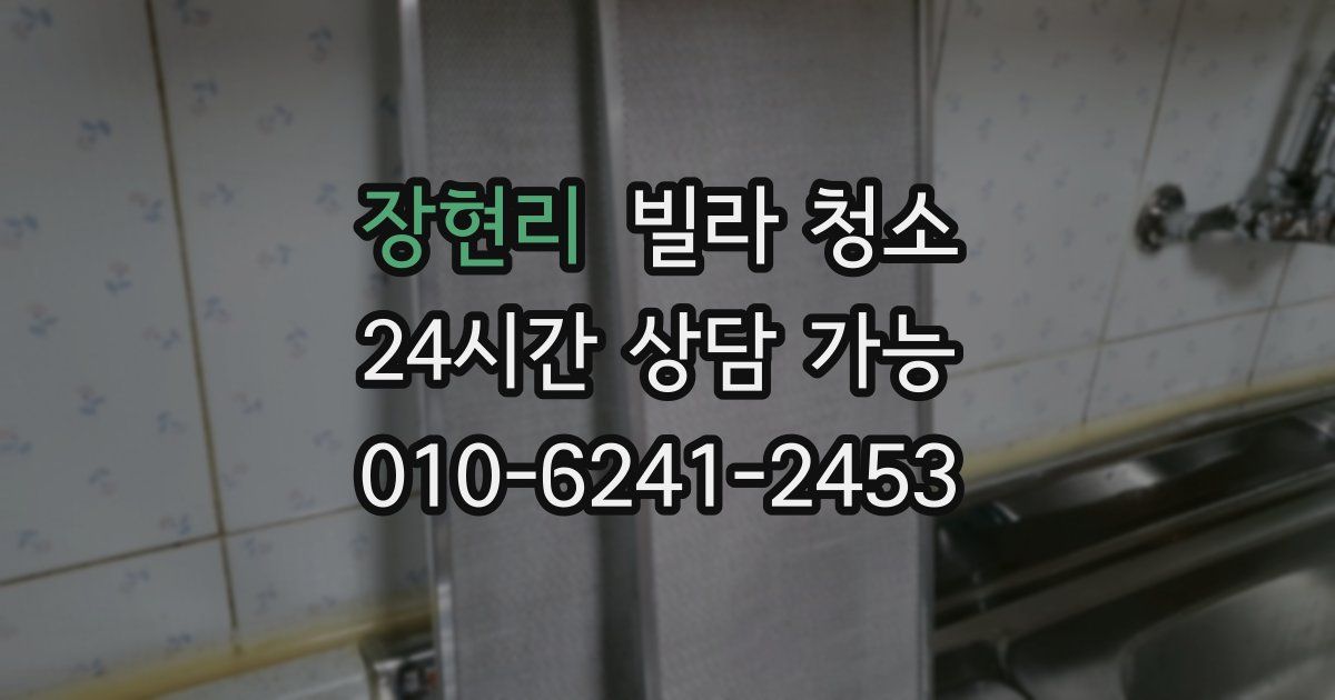 장현리 빌라 청소