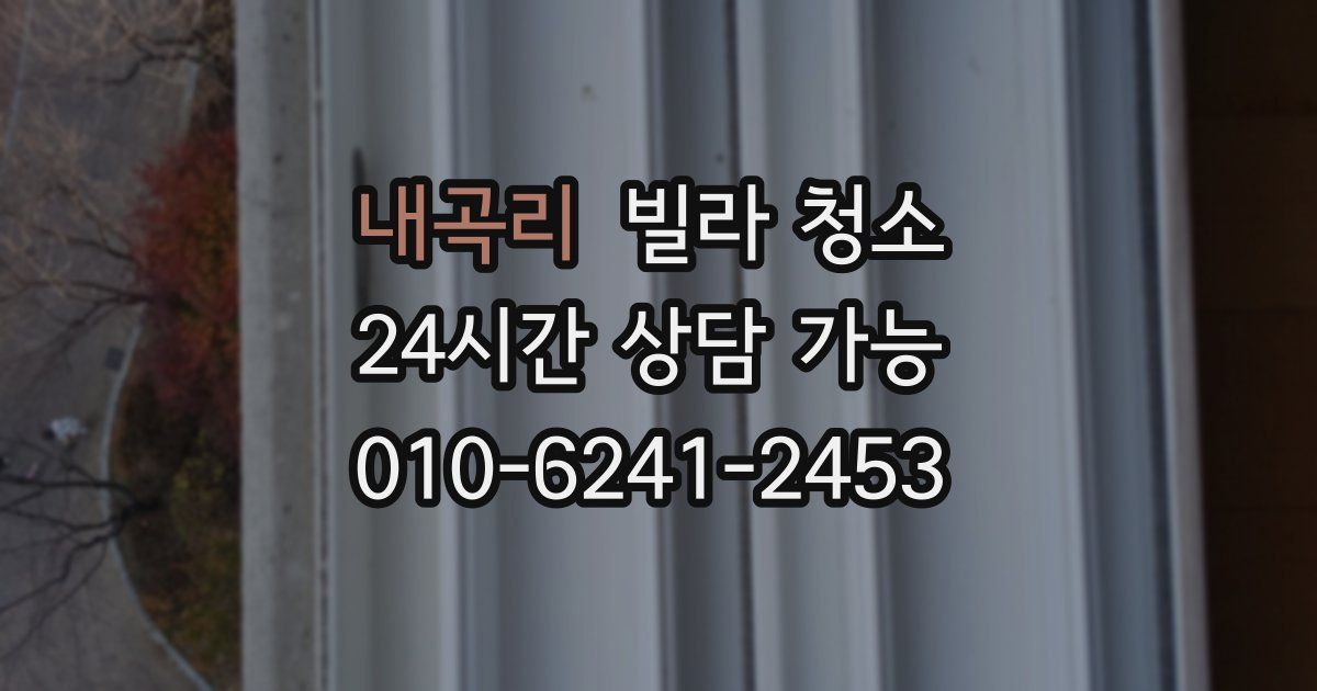 내곡리 빌라 청소