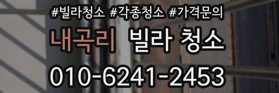 내곡리 빌라 청소