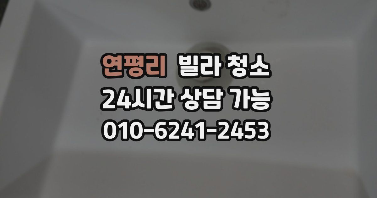 연평리 빌라 청소