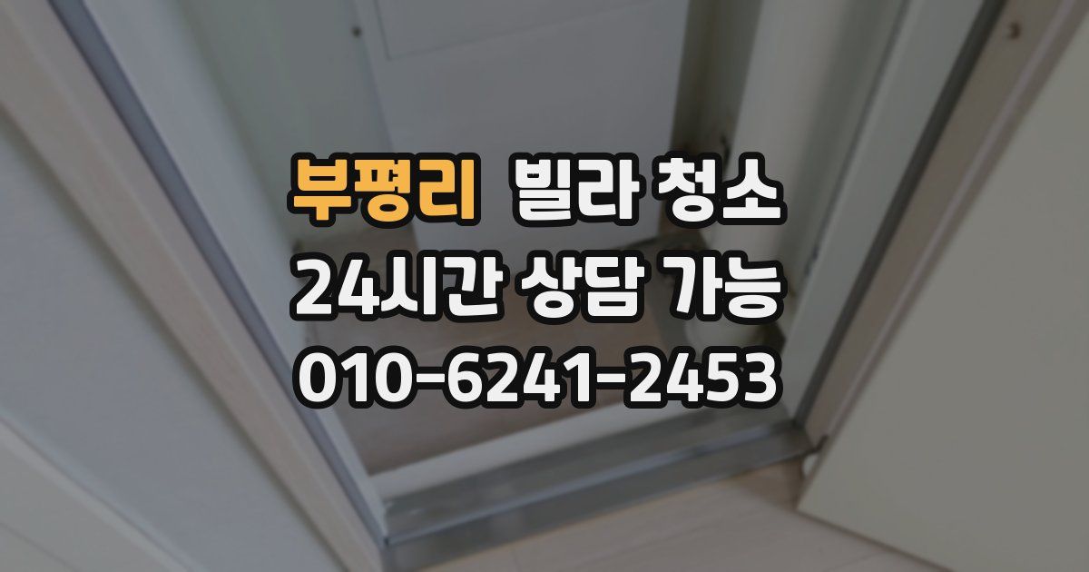 부평리 빌라 청소