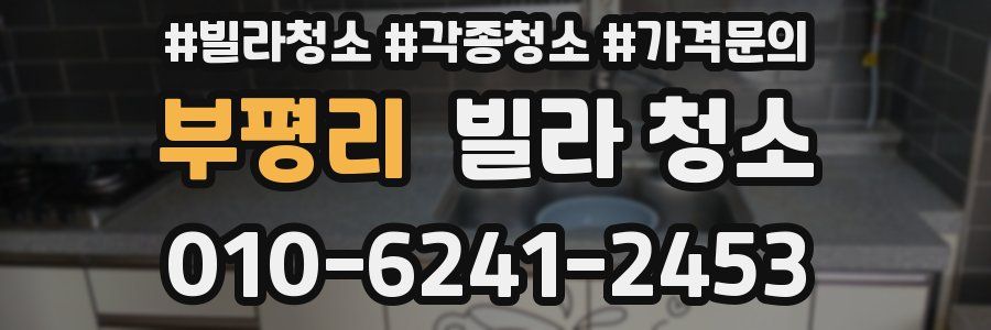 부평리 빌라 청소