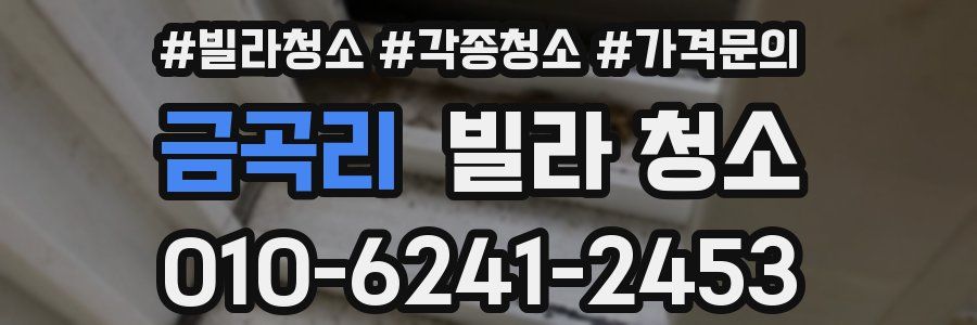 금곡리 빌라 청소