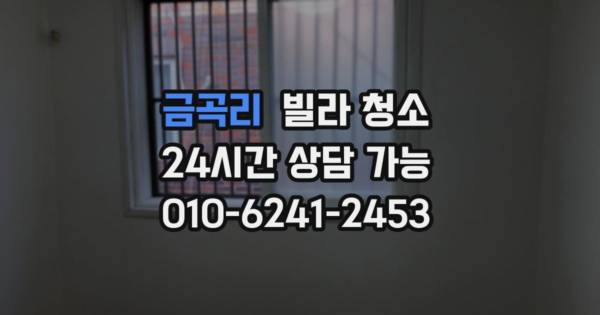 금곡리 빌라 청소