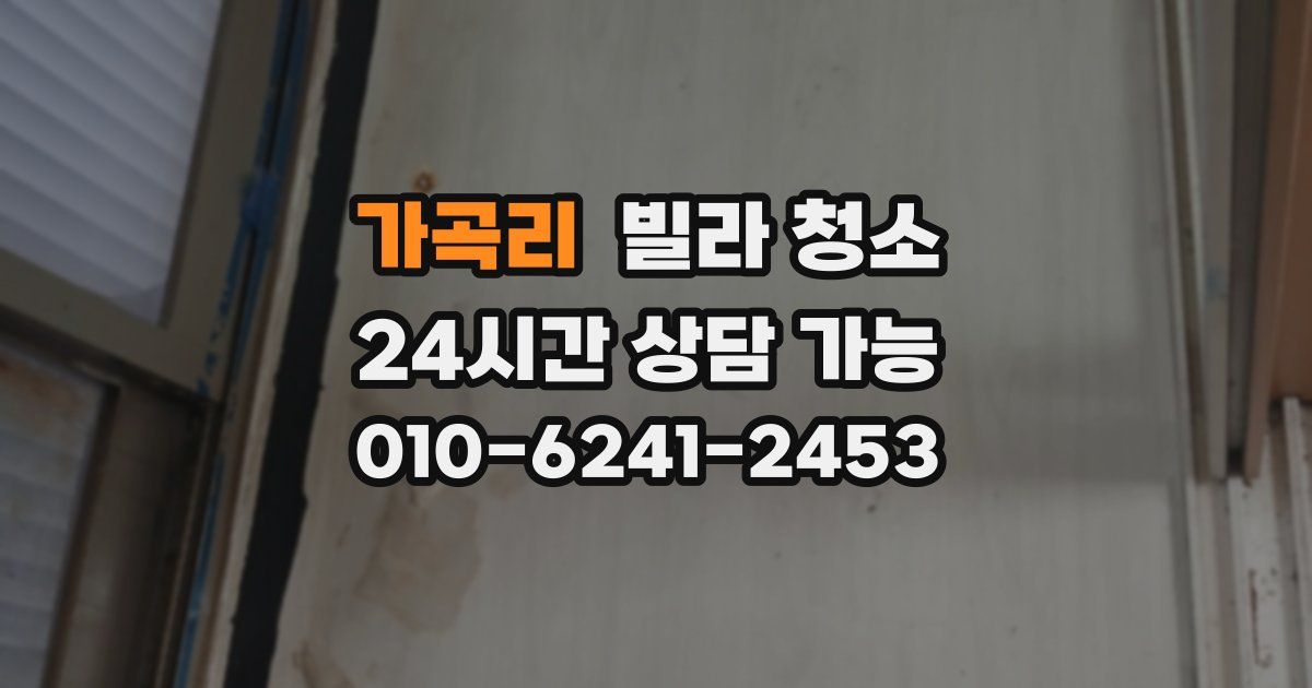 가곡리 빌라 청소