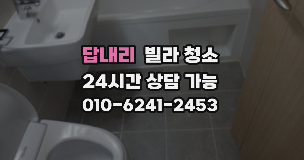 답내리 빌라 청소