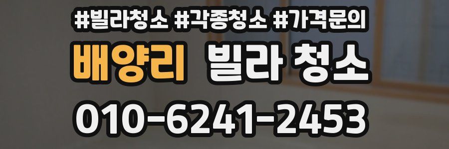 배양리 빌라 청소