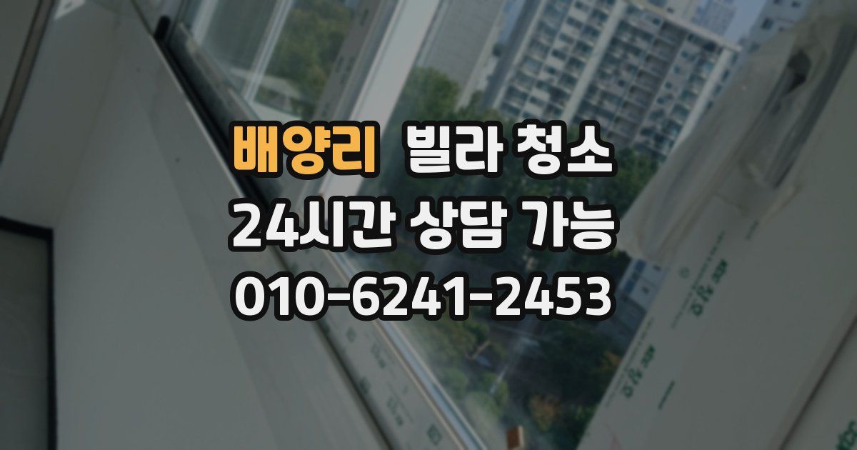 배양리 빌라 청소