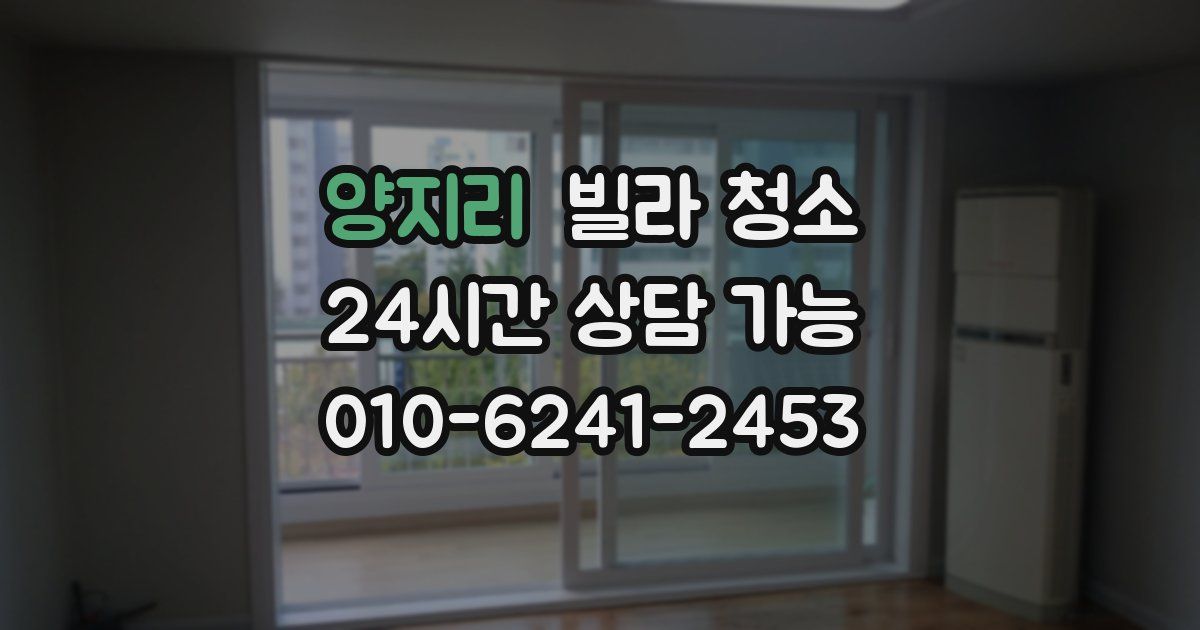 양지리 빌라 청소