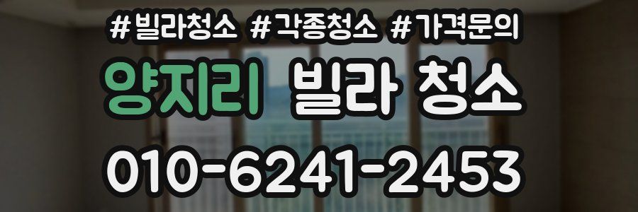 양지리 빌라 청소