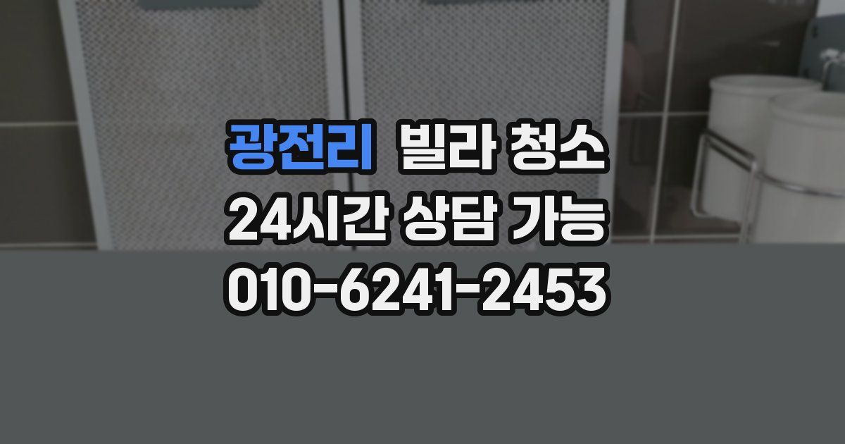광전리 빌라 청소