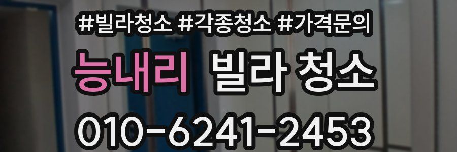 능내리 빌라 청소