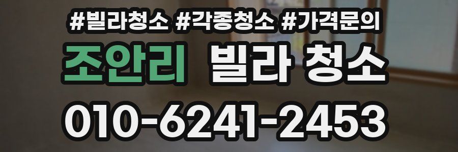 조안리 빌라 청소