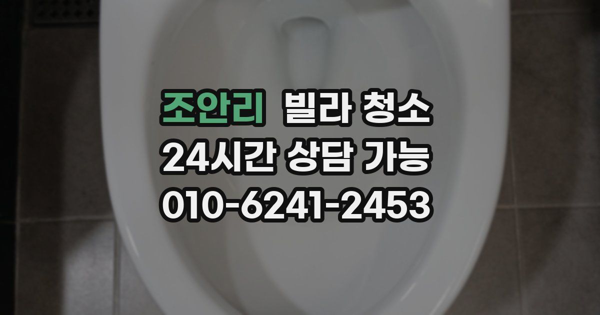 조안리 빌라 청소