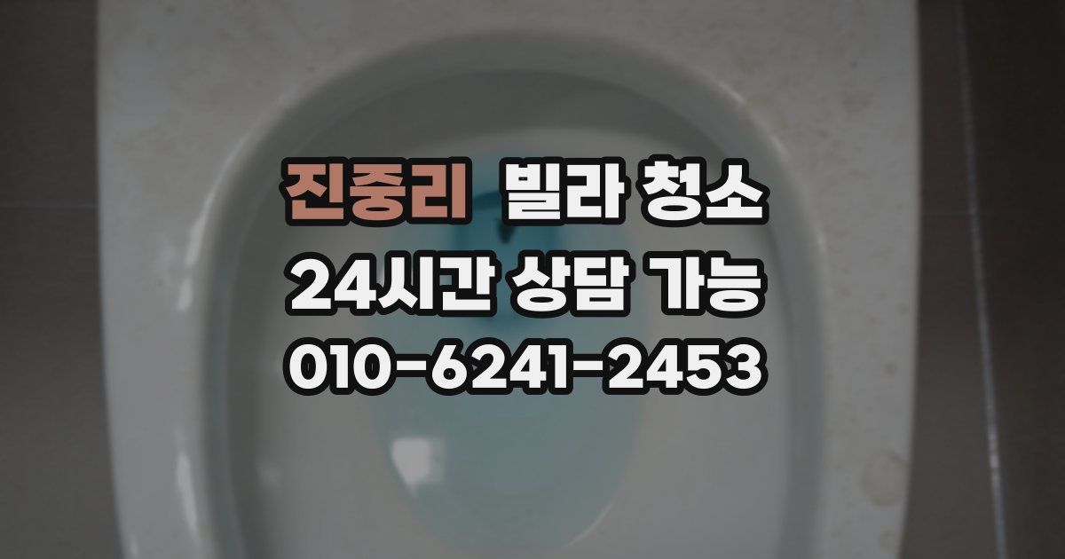 진중리 빌라 청소